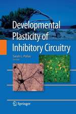 Developmental Plasticity of Inhibitory Circuitry