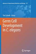 Germ Cell Development in C. elegans