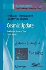 Cosmic Update: Dark Puzzles. Arrow of Time. Future History