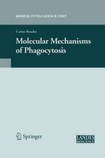 Molecular Mechanisms of Phagocytosis