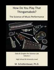 How Do You Play That Thingamabob? the Science of Music Performance: Data and Graphs for Science Lab