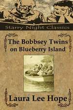 The Bobbseytwins on Blueberry Island