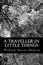 A Traveller in Little Things