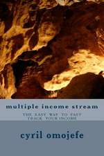 Multiple Income Stream