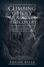 Climbing the Holy Mountain of Recovery