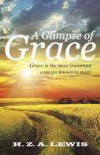 A Glimpse of Grace