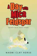 A Day with Mica Feldspar