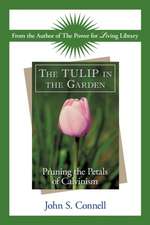 The Tulip in the Garden