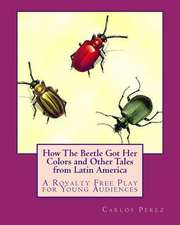 How the Beetle Got Her Colors and Other Tales from Latin America