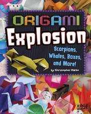 Origami Explosion