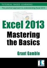 Excel 2013 Mastering the Basics