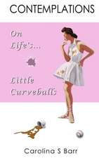 Contemplations on Life's Little Curveballs: A Prose-Poetry Collection