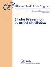 Stroke Prevention in Atrial Fibrillation