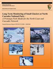 Long Term Monitoring of Small Glaciers at North Cascades National Park