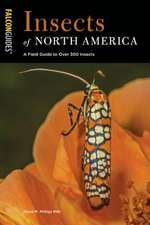 INSECTS OF NORTH AMERICA