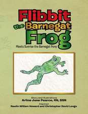 Flibbit the Barnegat Frog