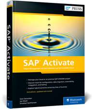 Denecken, S: SAP Activate