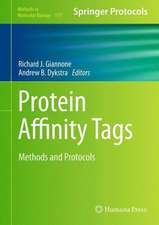 Protein Affinity Tags: Methods and Protocols