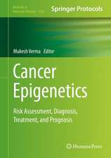 Cancer Epigenetics: Risk Assessment, Diagnosis, Treatment, and Prognosis