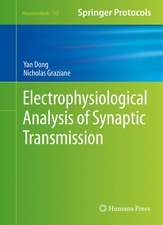 Electrophysiological Analysis of Synaptic Transmission