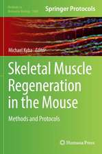 Skeletal Muscle Regeneration in the Mouse: Methods and Protocols