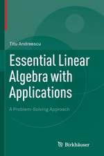 Essential Linear Algebra with Applications: A Problem-Solving Approach