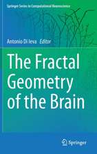 The Fractal Geometry of the Brain