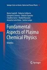 Fundamental Aspects of Plasma Chemical Physics: Kinetics