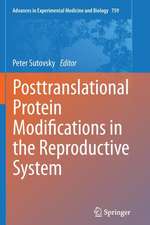 Posttranslational Protein Modifications in the Reproductive System