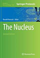 The Nucleus