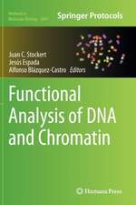 Functional Analysis of DNA and Chromatin