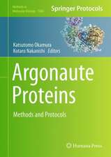 Argonaute Proteins