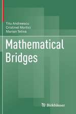 Mathematical Bridges