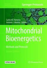 Mitochondrial Bioenergetics: Methods and Protocols