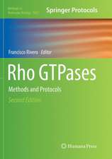 Rho GTPases: Methods and Protocols