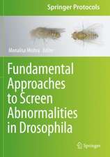 Fundamental Approaches to Screen Abnormalities in Drosophila