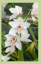 White Orchid 2014 Weekly Calendar