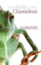 The Eyes of the Chameleon