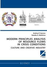 Modern principles analysis of resource flows in crisis conditions