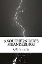 A Southern Boy's Meanderings