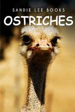 Ostriches - Sandie Lee Books