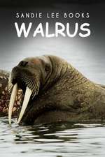 Walrus - Sandie Lee Books