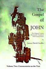 The Gospel of John - Volume Two