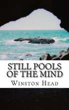 Still Pools of the Mind