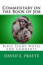 Commentary on the Book of Job