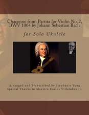 Chaconne from Partita for Violin No. 2, Bwv 1004 by Johann Sebastian Bach