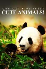 Cute Animals! - Curious Kids Press