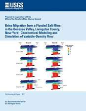 Brine Migration from a Flooded Salt Mine in the Genesee Valley, Livingston County, New York