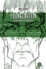 Frankenstein or the Modern Prometheus