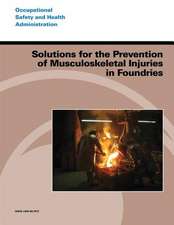 Solutions for the Prevention of Musculoskeletal Injuries in Foundries